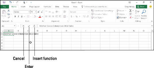 Hvordan legge inn data i Excel 2016