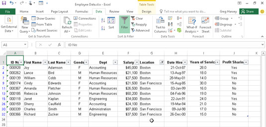 Tietoluettelon suodattaminen Excel 2016:ssa