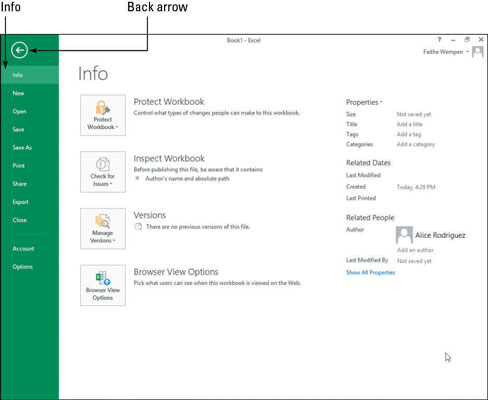 Apskatiet Excel 2013 interfeisu