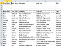 Bruke avansert tabellfiltrering i Excel 2010