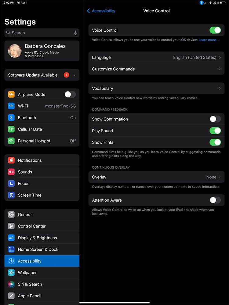 Πώς να ελέγξετε το iPad με φωνητικά χειριστήρια
