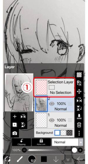 Instruccions per dibuixar a ibisPaint