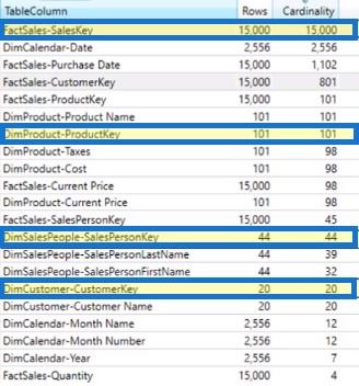 VertiPaq Analyzer i DAX Studio |  LuckyTemplates veiledning