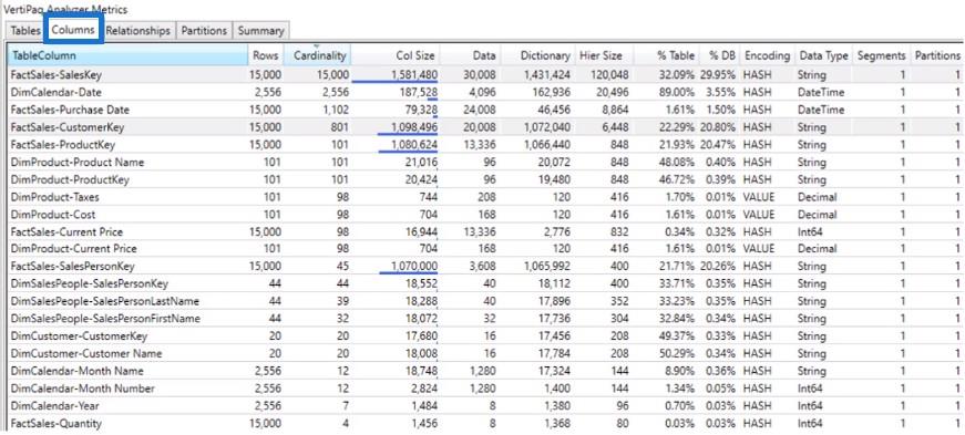 VertiPaq Analyzer i DAX Studio |  LuckyTemplates handledning