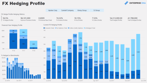 Valutarisikostyring: LuckyTemplates-rapport